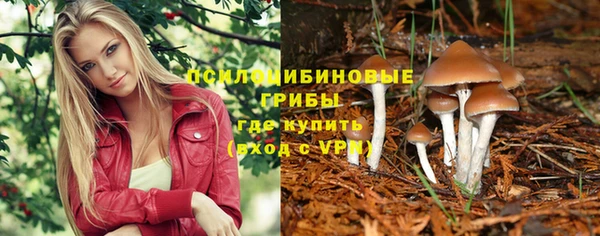 мяу мяу мука Алексин