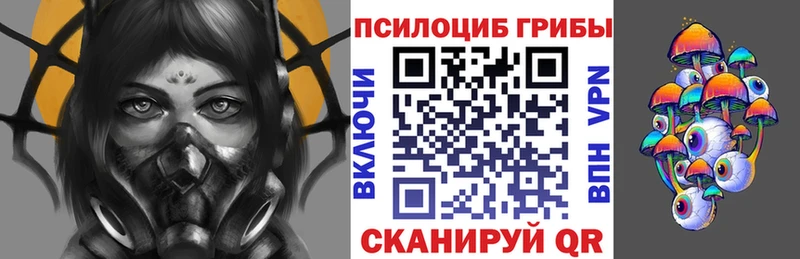 Псилоцибиновые грибы Psilocybine cubensis  Губкин 