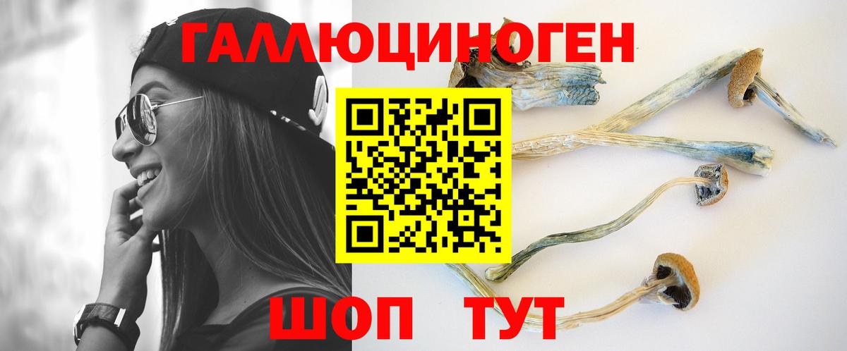 Губкин  Псилоцибиновые грибы Psilocybe  Вход с VPN 